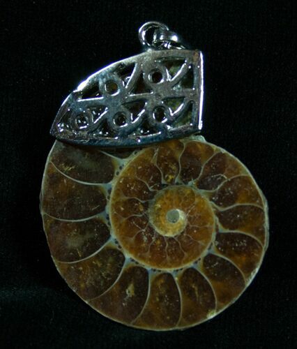 Ammonite Pendant #4270